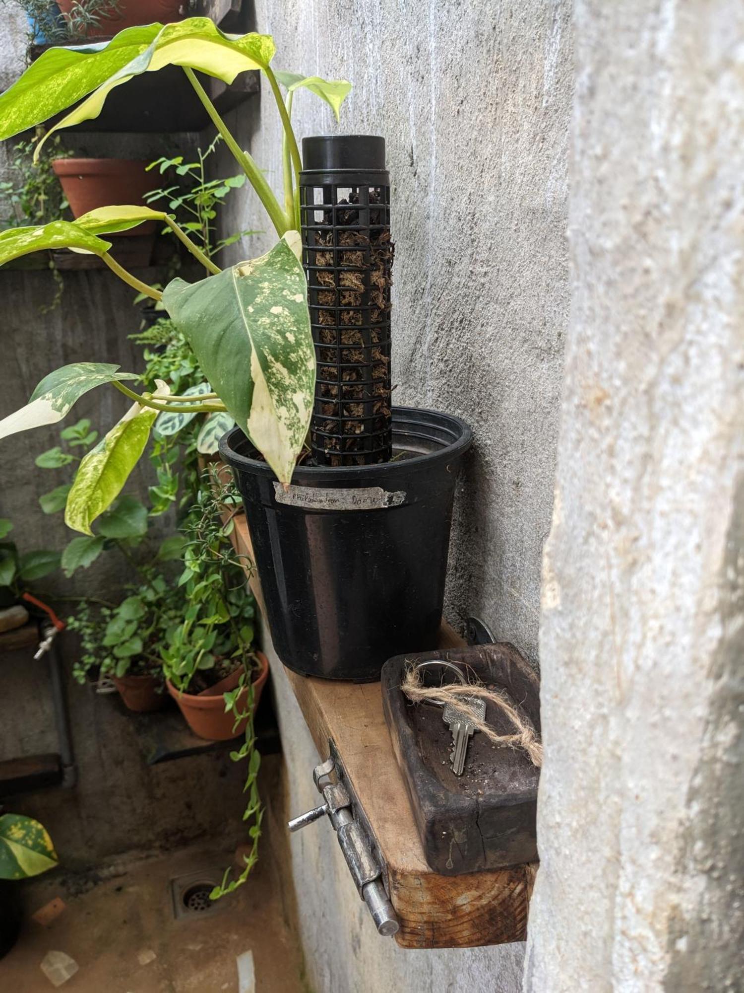 Ivy Coffee Farm - Garden House Apartment Duc Trong Exterior photo